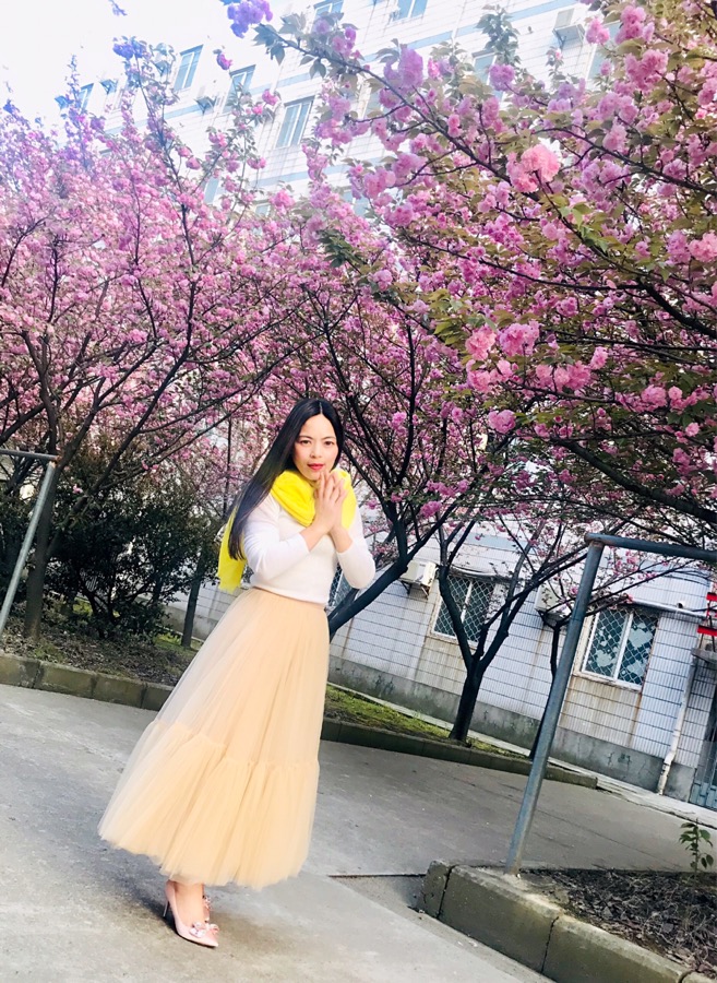 钟祥一中的樱花长廊