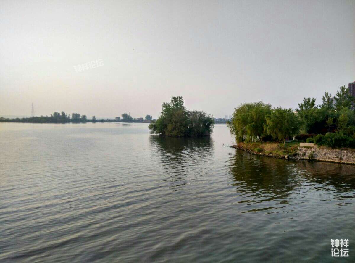 钟祥镜月湖大桥湿地,天水相连,湖中鸟岛百鸟清早争呜.